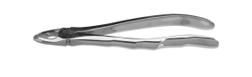 119006
