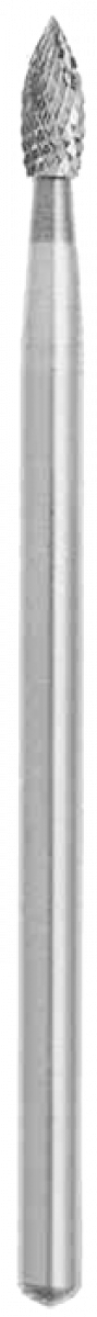 304502