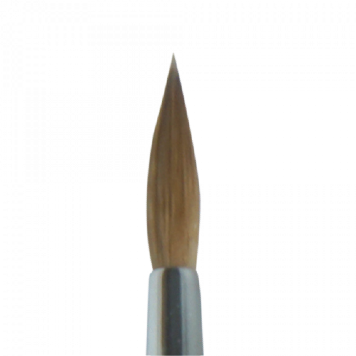 Gr66
