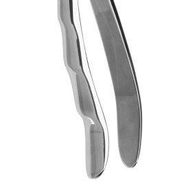 anatomisch9